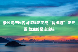 景区响应园内网纹蟒蛇变成“网纹猫” 蛇冬眠 放生的是流浪猫