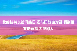 北约秘书长访问韩日 还与印战略对话 看到俄罗斯衰落 力挺印太