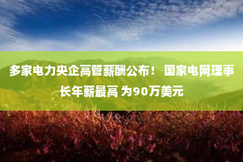 多家电力央企高管薪酬公布！ 国家电网理事长年薪最高 为90万美元