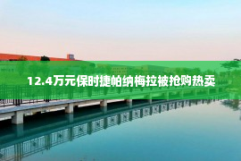 12.4万元保时捷帕纳梅拉被抢购热卖