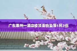 广东惠州一酒店楼顶重物坠落1死3伤