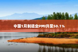 中国1月制造业PMI升至50.1%