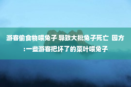 游客偷食物喂兔子 导致大批兔子死亡  园方:一些游客把坏了的菜叶喂兔子