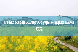 31省2022年人均收入公布:上海北京逼近8万元