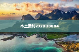 本土添加2328 20804