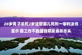 20岁男子杀死2岁试管婴儿死刑一审判决书显示 因工作不能赚钱萌发自杀念头