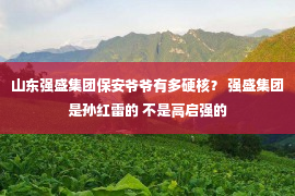 山东强盛集团保安爷爷有多硬核？ 强盛集团是孙红雷的 不是高启强的