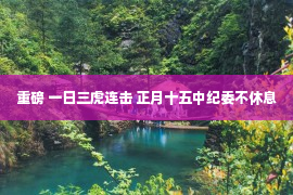 重磅 一日三虎连击 正月十五中纪委不休息