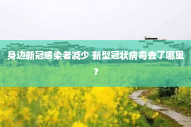 身边新冠感染者减少 新型冠状病毒去了哪里？