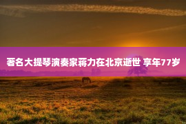 著名大提琴演奏家蒋力在北京逝世 享年77岁