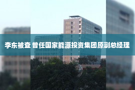 李东被查 曾任国家能源投资集团原副总经理