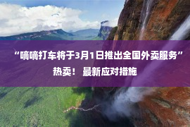 “嘀嘀打车将于3月1日推出全国外卖服务”热卖！ 最新应对措施