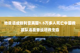 地震造成叙利亚两国1.5万多人死亡中国救援队连夜奋战拯救生命