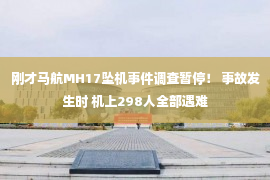 刚才马航MH17坠机事件调查暂停！ 事故发生时 机上298人全部遇难