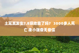 土耳其发生7.8级地震了吗？ 3000多人死亡 唐小强杳无音信