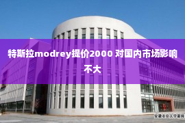 特斯拉modrey提价2000 对国内市场影响不大