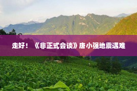 走好！ 《非正式会谈》唐小强地震遇难