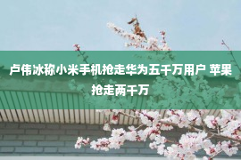 卢伟冰称小米手机抢走华为五千万用户 苹果抢走两千万