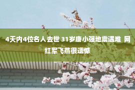 4天内4位名人去世 31岁唐小强地震遇难  网红军飞燕很遗憾