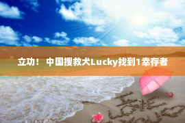 立功！ 中国搜救犬Lucky找到1幸存者