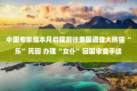 中国专家组本月启程前往美国调查大熊猫“乐”死因 办理“女仆”回国审查手续