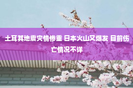 土耳其地震灾情惨重 日本火山又爆发 目前伤亡情况不详