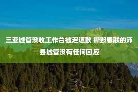 三亚城管没收工作台被迫道歉 撕毁春联的沛县城管没有任何回应