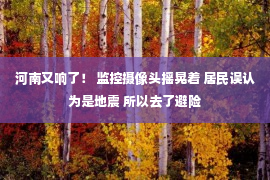 河南又响了！ 监控摄像头摇晃着 居民误认为是地震 所以去了避险