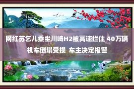 网红苏乞儿乘坐川崎H2被高速拦住 40万辆机车倒塌受损  车主决定报警