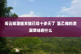 毒云笼罩俄亥俄已经十多天了  氯乙烯的泄漏意味着什么