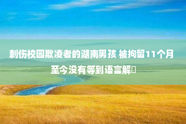 刺伤校园欺凌者的湖南男孩 被拘留11个月 至今没有等到语言解�