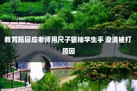 教育局回应老师用尺子狠抽学生手 澄清被打原因