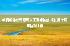 教育部体艺司原司长王登峰被捕 担任第十届足协副主席