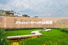 iPhone14ProMax烧屏