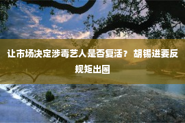 让市场决定涉毒艺人是否复活？ 胡锡进要反规矩出圈