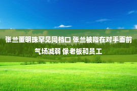 张兰董明珠罕见同档口 张兰被指在对手面前气场减弱 像老板和员工