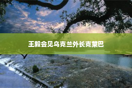 王毅会见乌克兰外长克莱巴