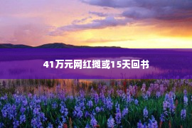 41万元网红摊或15天回书