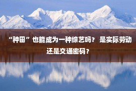 “种田”也能成为一种综艺吗？ 是实际劳动还是交通密码？