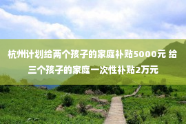 杭州计划给两个孩子的家庭补贴5000元 给三个孩子的家庭一次性补贴2万元