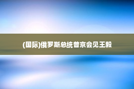 (国际)俄罗斯总统普京会见王毅