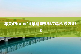 苹果iPhone15早期真机照片曝光 改为USB