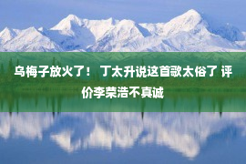 乌梅子放火了！ 丁太升说这首歌太俗了 评价李荣浩不真诚