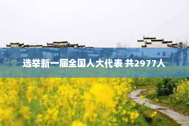 选举新一届全国人大代表 共2977人