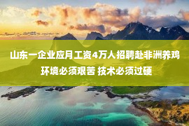 山东一企业应月工资4万人招聘赴非洲养鸡  环境必须艰苦 技术必须过硬