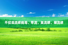 不仅是流感病毒、甲流、禽流感、猪流感