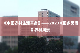 《中国农村生活革命》——2023《回乡见闻》农村风景