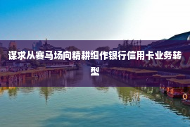 谋求从赛马场向精耕细作银行信用卡业务转型