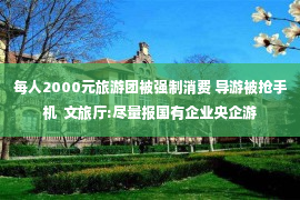 每人2000元旅游团被强制消费 导游被抢手机  文旅厅:尽量报国有企业央企游