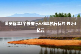 国安新增2个被执行人信息执行标的 共计5亿元